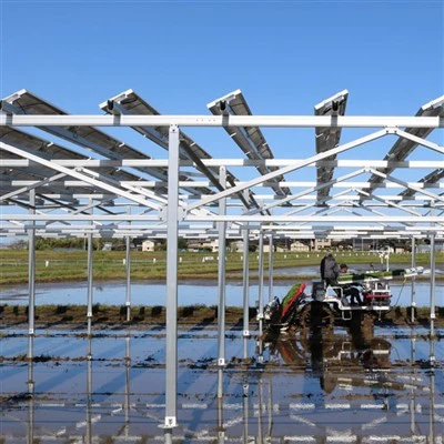 Agri Voltaic Poljoprivreda